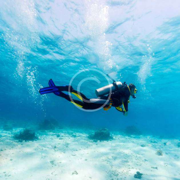 Divers’ Heaven: Hawaiian Experience